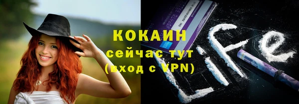 шишки Алексеевка