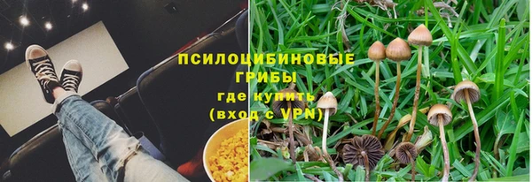 эйфоретик Бердск