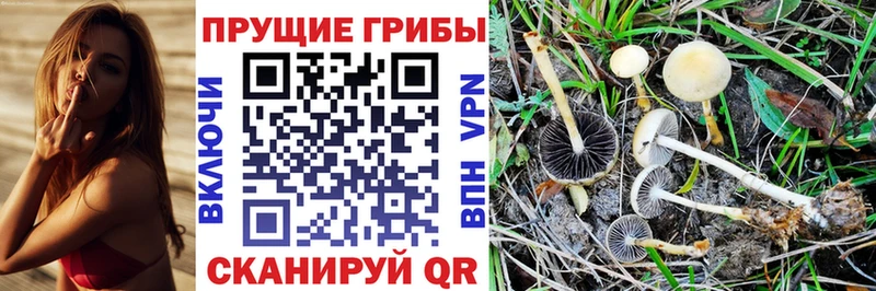 Галлюциногенные грибы мухоморы  Кызыл 