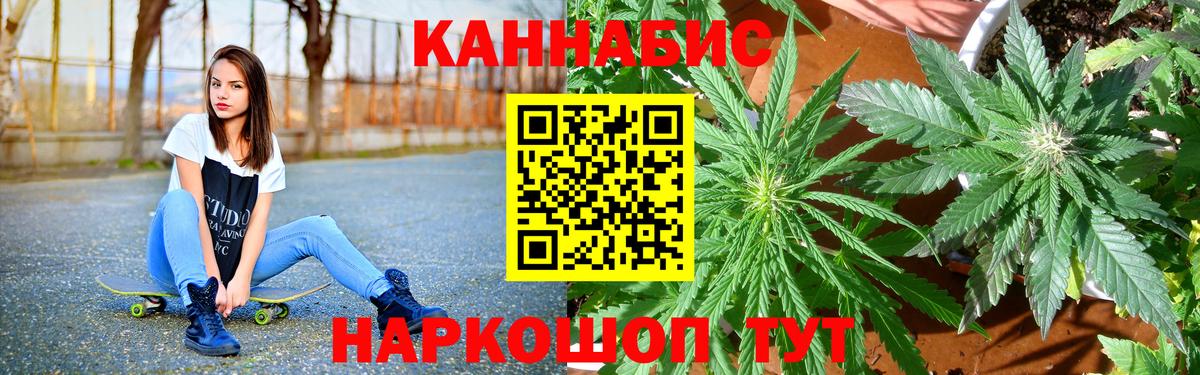 Бошки Шишки тримм  Вход с VPN  Кызыл  Шишки марихуана AK-47  Конопля THC 21%  Марихуана сатива 